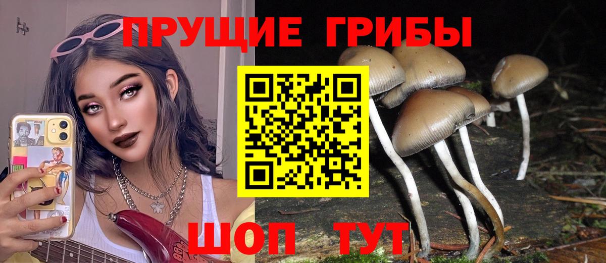 Галлюциногенные грибы мицелий  Вход с VPN  Щёлково  Галлюциногенные грибы Magic Shrooms 