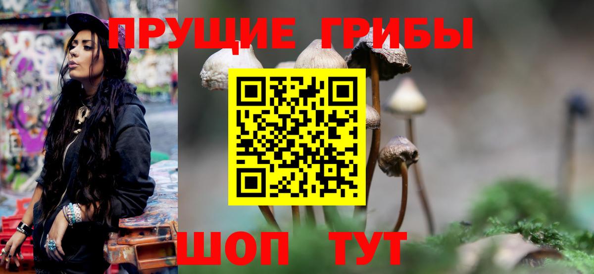 Галлюциногенные грибы GOLDEN TEACHER Щёлково