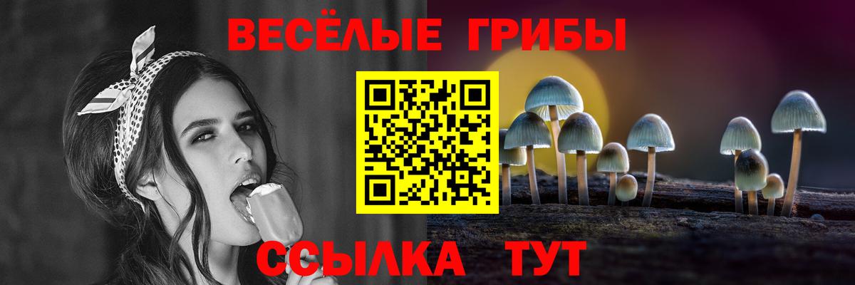 Псилоцибиновые грибы Magic Shrooms  Псилоцибиновые грибы Psilocybe  Щёлково  Вход с VPN 